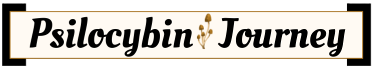 Colorado Psilocybin Journey by Rick Hipp LPC